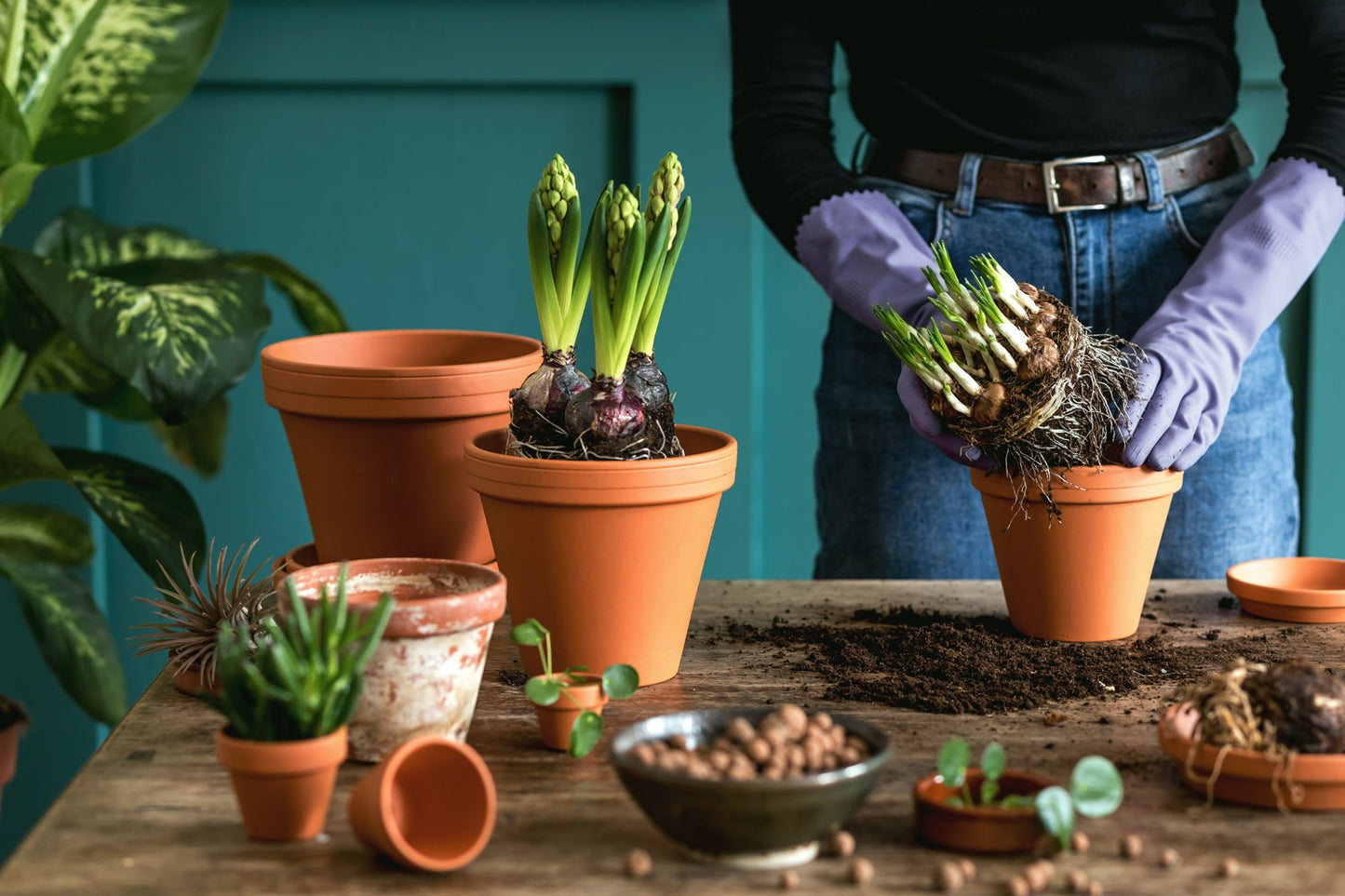 Gifts For Gardeners